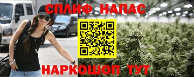 СК Камень-на-Оби