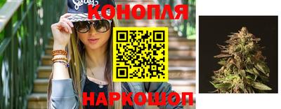СК Камень-на-Оби