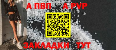 СК Камень-на-Оби